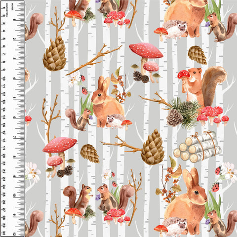 PREORDER Squirrel & Birch