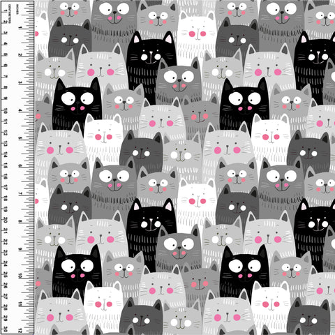 PREORDER Stacked Kittens