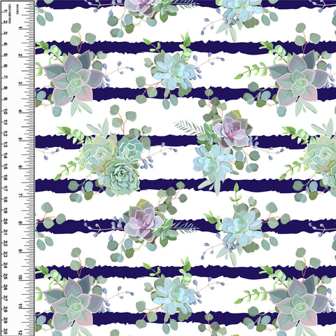 PREORDER Succulent Stripe