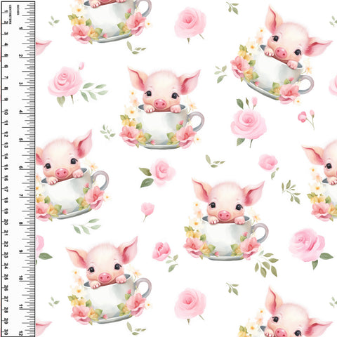 PREORDER Teacup Pig
