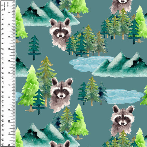 PREORDER Watercolour Raccoon