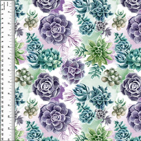 PREORDER Watercolour Succulents
