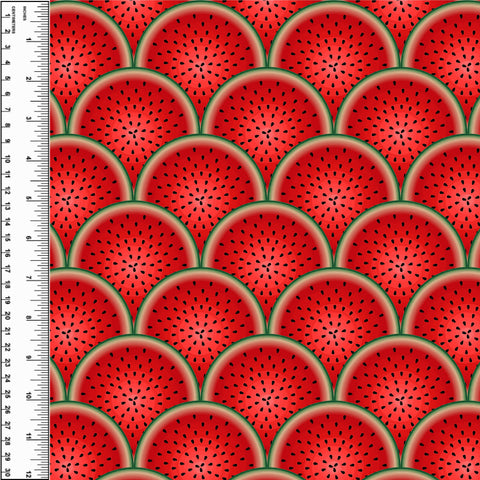 PREORDER Watermelon Slices