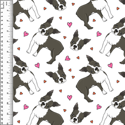 PREORDER Boston Terrier