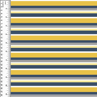 PREORDER Duck Stripes Blue