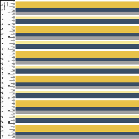 PREORDER Duck Stripes Blue