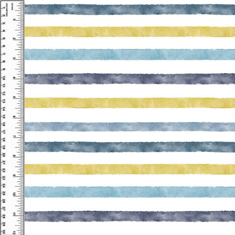 PREORDER Duck Stripes Coordinate