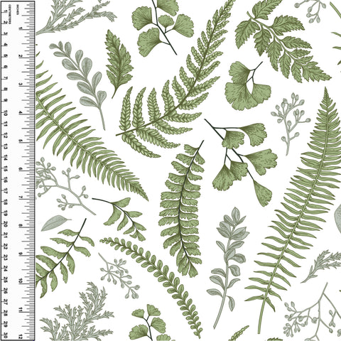 PREORDER Fern White