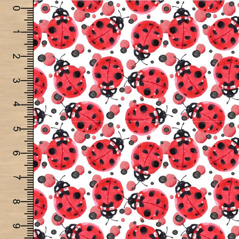 PREORDER Ladybug Watercolour