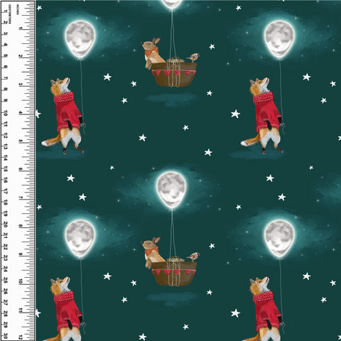 PREORDER Moon Balloon Animals