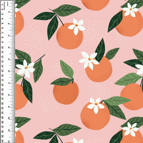 PREORDER Oranges
