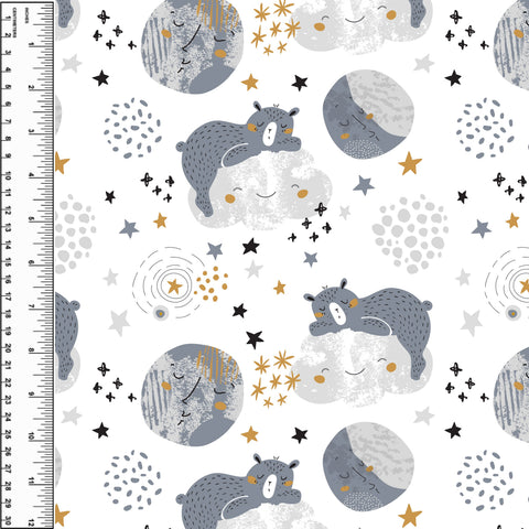 PREORDER Sleepy Cloud Bear